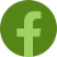 Image of the facebook logo in green